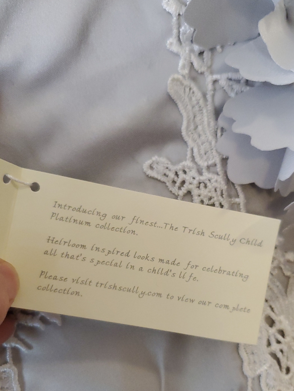 Trish Scully Bianca Appliqué Lace Floral Gown Silver Gray Dress Size 14 Girls - Picture 8 of 14
